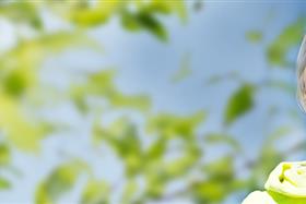 Grundlehrgang  Gesundheit und Sport - online